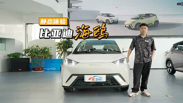 �w�(y��n)�ȁ��Ϻ��t����ȱ��w�ȶ���������